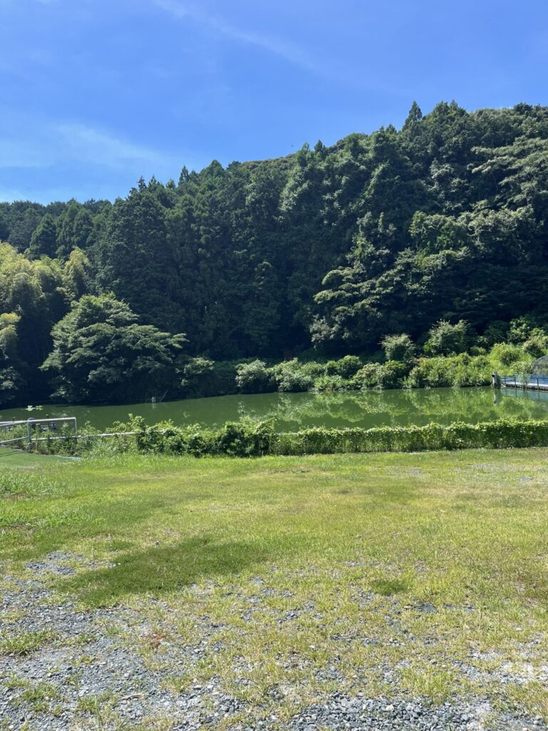 掛川花鳥園　屋外バードショー会場