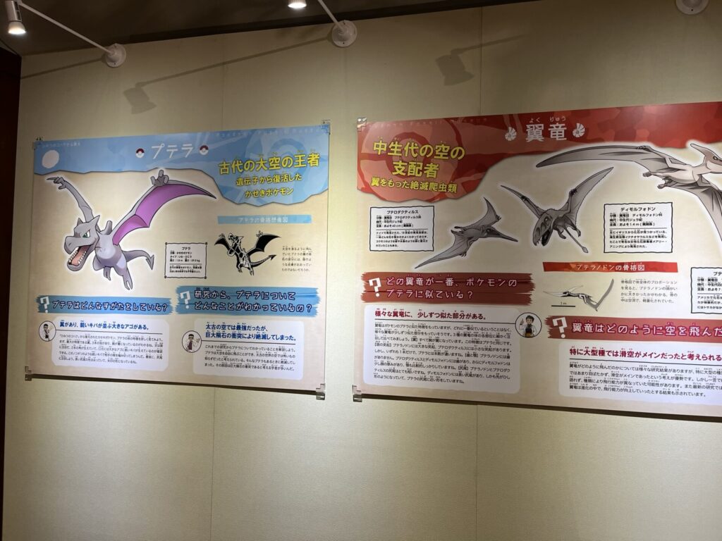 ポケモン化石博物館