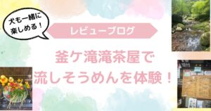 釜ケ滝滝茶屋流しそうめん口コミ