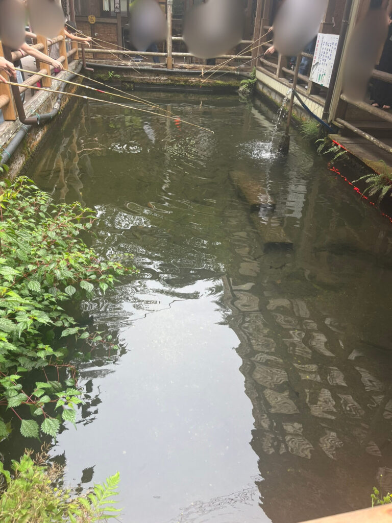 釜ケ滝滝茶屋　魚釣り